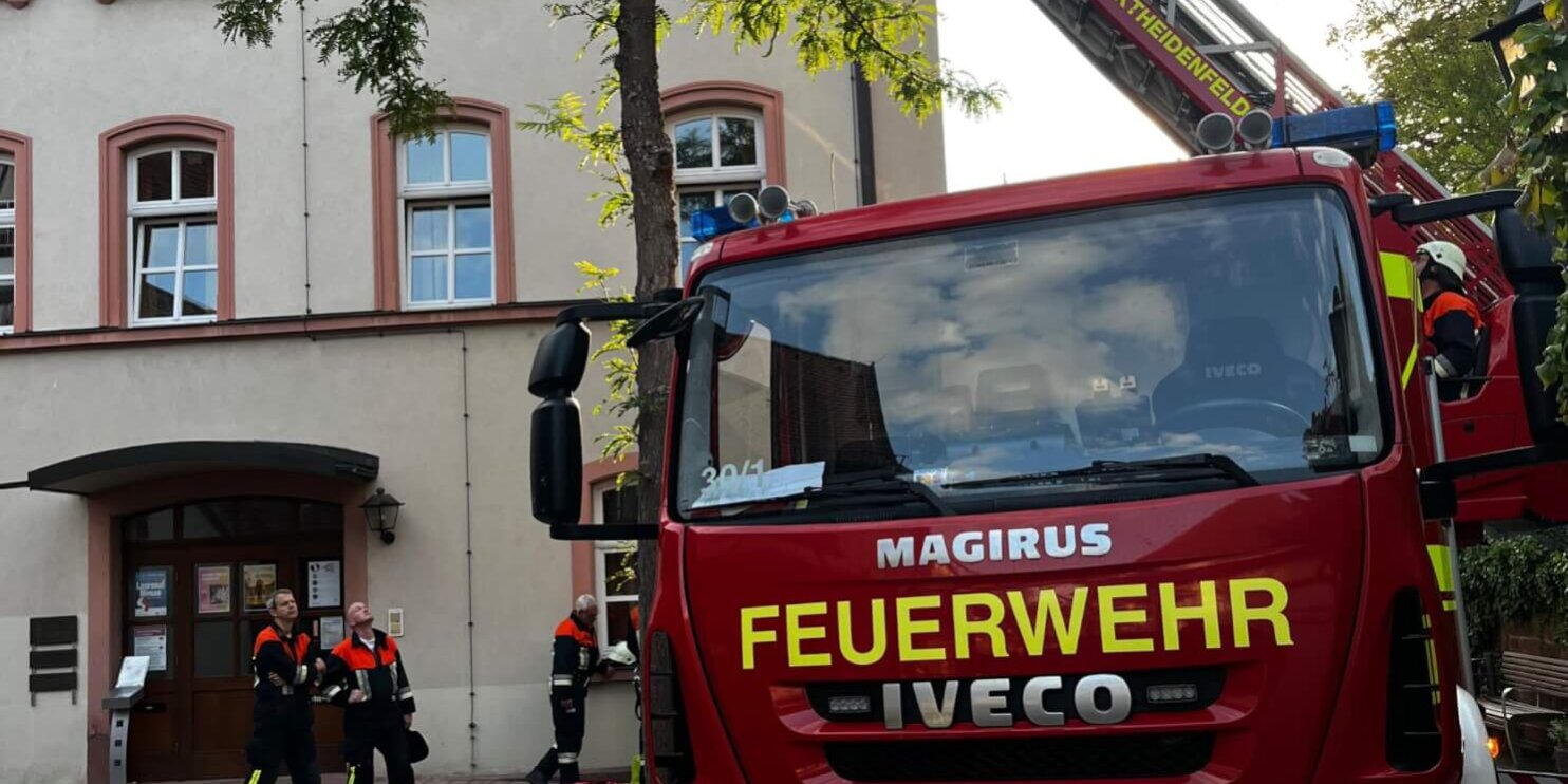 WhatsApp Image 2025-08-06 at 06.14.56a